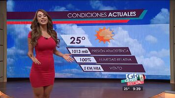 The Forecast by Yanet