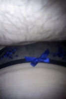 This is one of my fave subs, so here's hubby spunking on my knickers. Hope you enjoy.